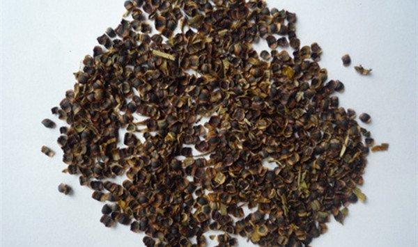 大花金鸡菊怎么播种