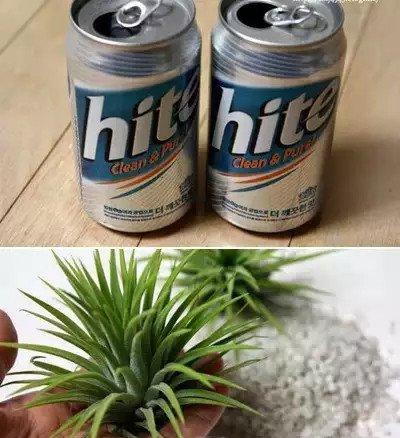 易拉罐