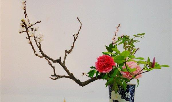 牡丹插花