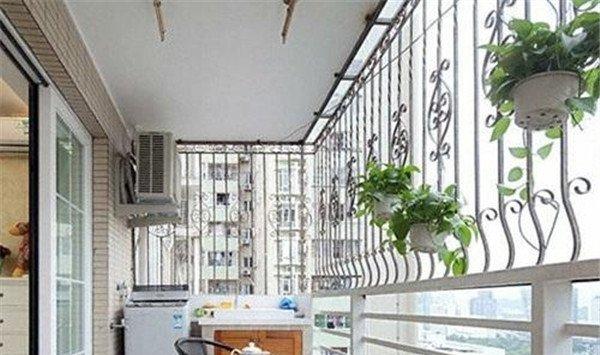 养花常见的三个误区