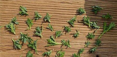 玛格丽特花土插法
