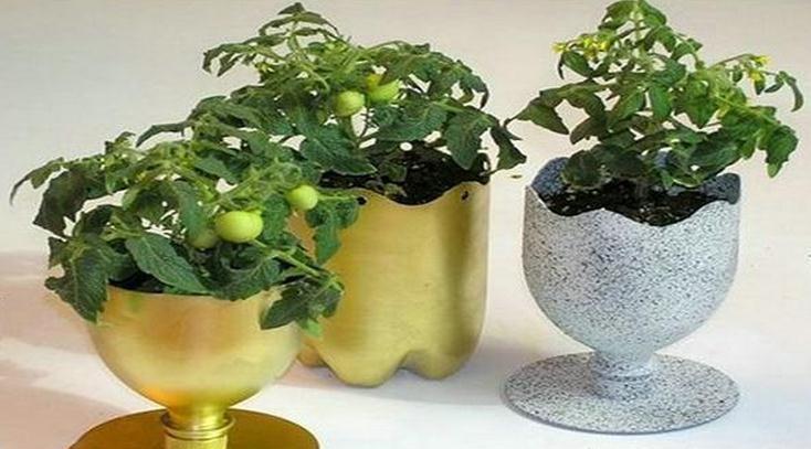 1个塑料瓶就是2个花盆，5步搞定！