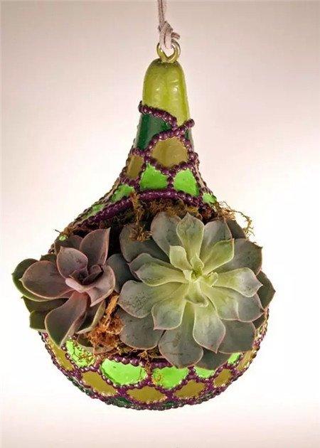 葫芦种花图片欣赏