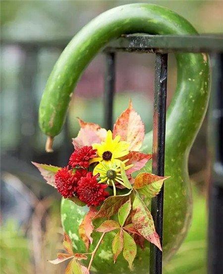 葫芦种花图