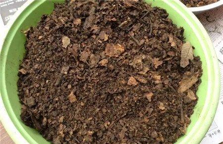 最简单堆肥法 最简单堆肥法
