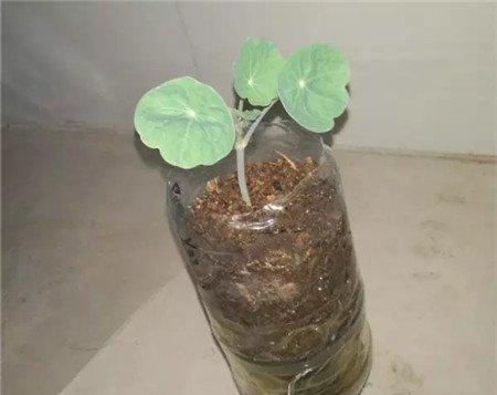 保湿 保湿