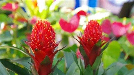 最简单施肥法 最简单施肥法