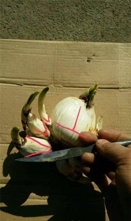 雕刻顺序 雕刻顺序