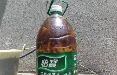 发酵3个月