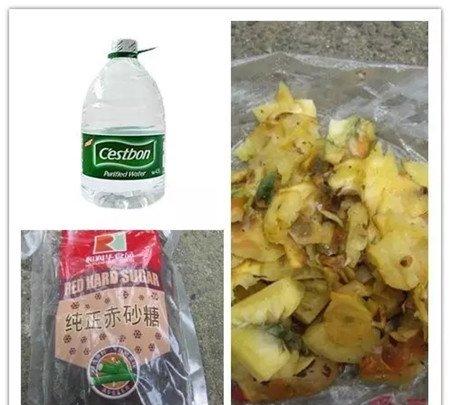 第一：做酵素