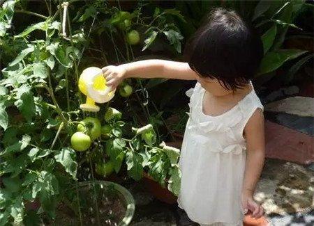 暴晒