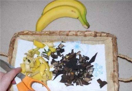 香蕉皮剪碎