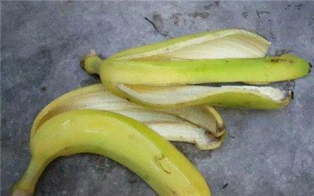 香蕉皮剁碎