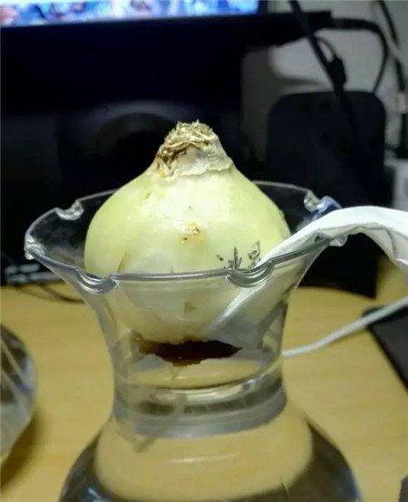 水倒掉一半