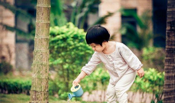 浇水时加点这个，绿萝吊兰长疯了