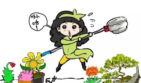 你花那么多钱养花，他一个塑料瓶就解决了