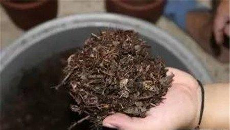 土壤碱性 土壤碱性
