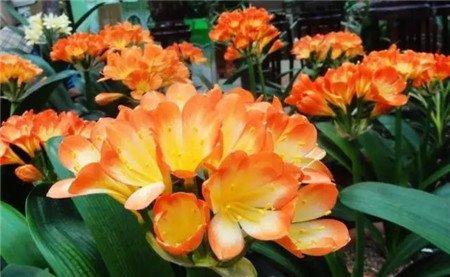 温差太小 温差太小