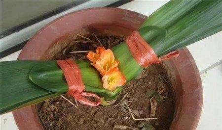 压力过大 压力过大