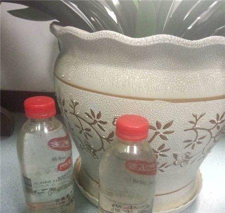 二、看水温 二、看水温