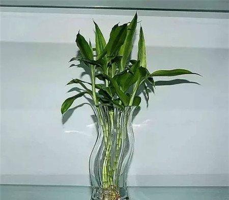 换水