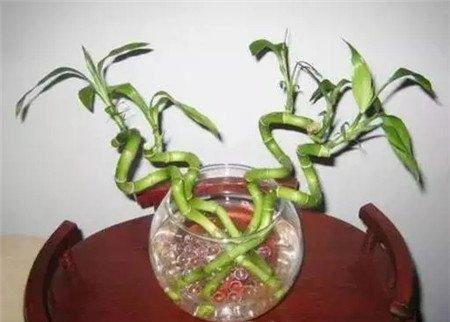 水质 水质