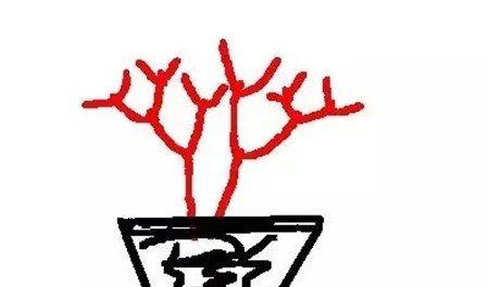 修剪