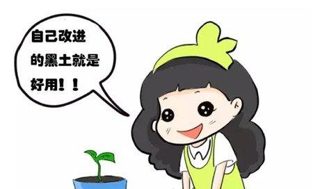 花花