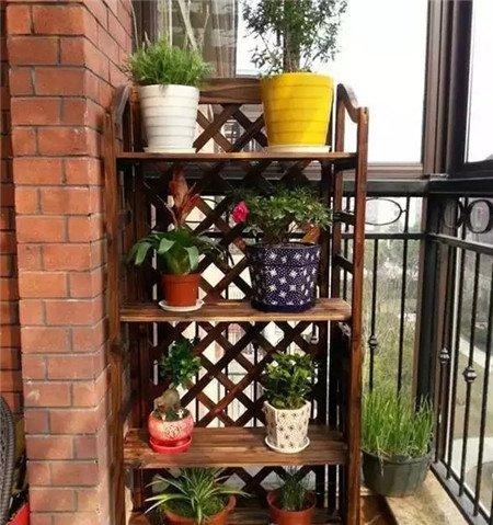 花架 图片 花架 图片