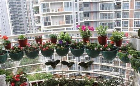 花草悬挂起来 花草悬挂起来