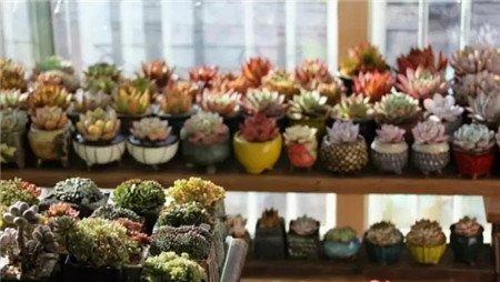 花架 花架
