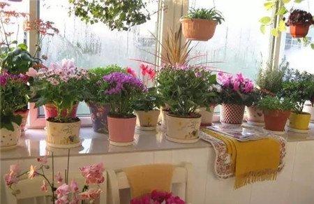 摆放整齐花 摆放整齐花