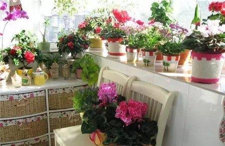 花房 花房