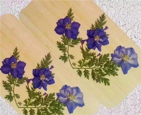 压花 压花