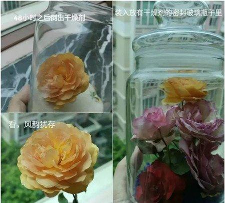 制作成功 制作成功