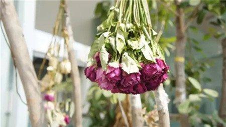 悬挂 悬挂