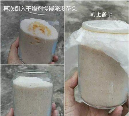 装瓶密封 装瓶密封