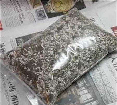 黑王子土壤 黑王子土壤
