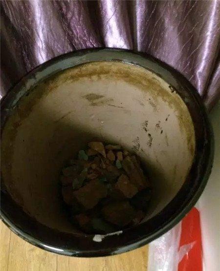 可以上盆 可以上盆