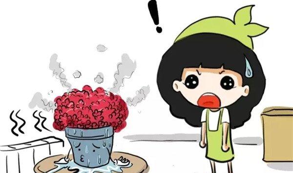 你随手一个小动作，就会把花害死