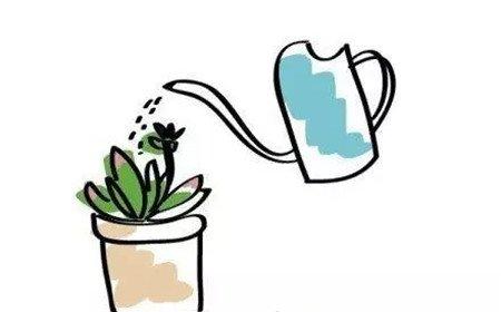 叶面喷洒法 叶面喷洒法