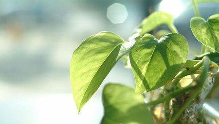 水分要充足