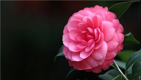 根外施肥 根外施肥