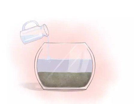 倒入清水 倒入清水