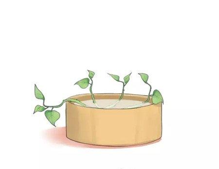 剪好的枝条 剪好的枝条