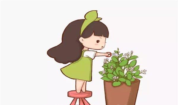 随手摘掉花草顶稍，1个月就疯长到花盆都看不见了！