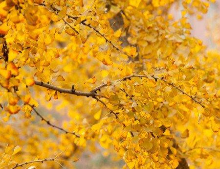 浇水季节变化 浇水季节变化