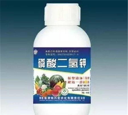 喷磷酸二氢钾 喷磷酸二氢钾