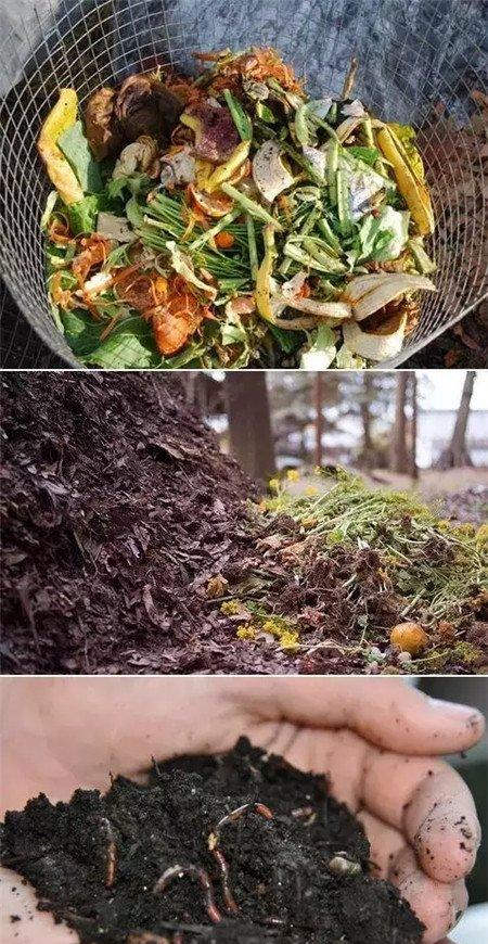 各种菜叶果皮沤肥