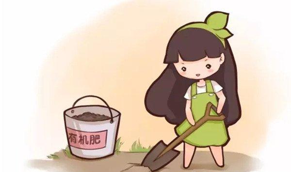 土里扔点儿这个，不施肥花也长得蹭蹭的